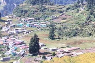 25 साल में उत्तराखंड की धरती पर खड़े हुए 80 हजार उद्योग, विकास की नई इबारत लिखी-Newsnetra 16 chamoli uttarakhand 65d1d77c809b674c0a626624159872bb