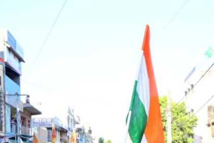 IMG 20251113 WA0077 1