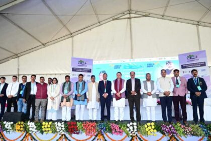 IMG 20251130 WA0036 1