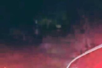 Screenshot 20251117 103116 WhatsApp2 1