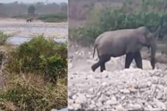 Screenshot 20251124 011533 Chrome