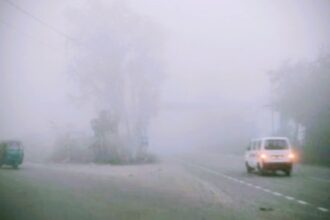 Screenshot 20251126 011044 Chrome2