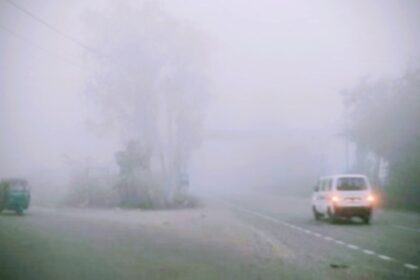 Screenshot 20251126 011044 Chrome2