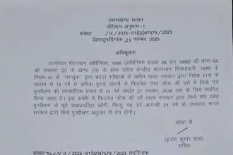 WhatsApp Image 2025 11 22 at 11.12.49 d7928d4f