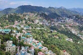 masara ma garama sa bra hal 7369f84d7941c01da1fec8605f0cb168