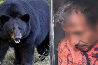 Screenshot 20251231 022001 Chrome