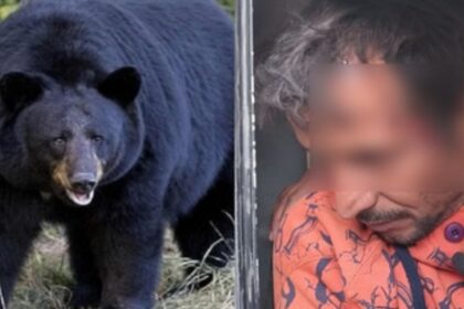 Screenshot 20251231 022001 Chrome