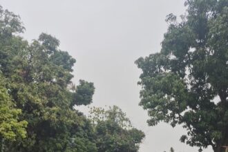 b4ae2d7d c473 4ac8 be9f 015e8e18d172