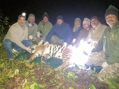 bgha pakaugdha d35974841a3954312834f8fb13d4b18f