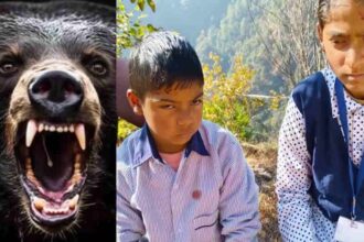 bhal ka hamal ma ghayal chhatara oura bcana val chhatara thavaya 7b197562b7e5301e944b17c7d86be654