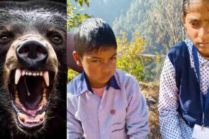 bhal ka hamal ma ghayal chhatara oura bcana val chhatara thavaya 7b197562b7e5301e944b17c7d86be654