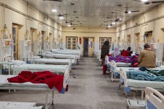 1de3a131 00d8 4060 9330 38e5f1259986 1766148474869