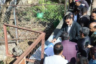 IMG 20260128 WA0088 1