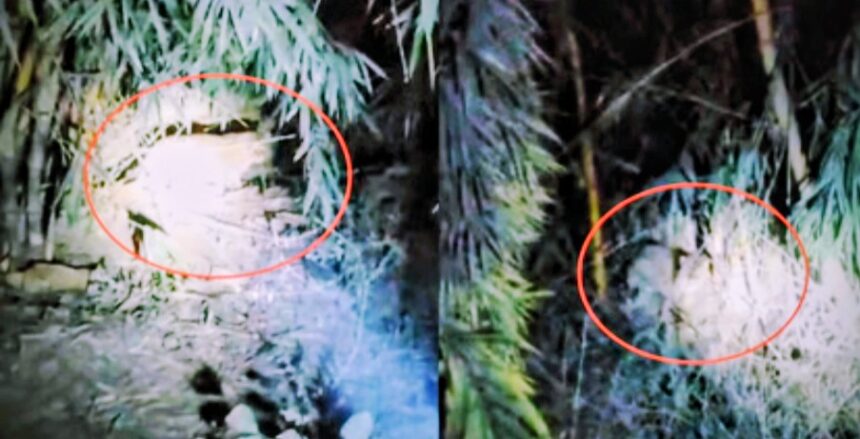 Screenshot 20260117 014931 Chrome2