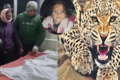 Screenshot 20260125 020504 Chrome