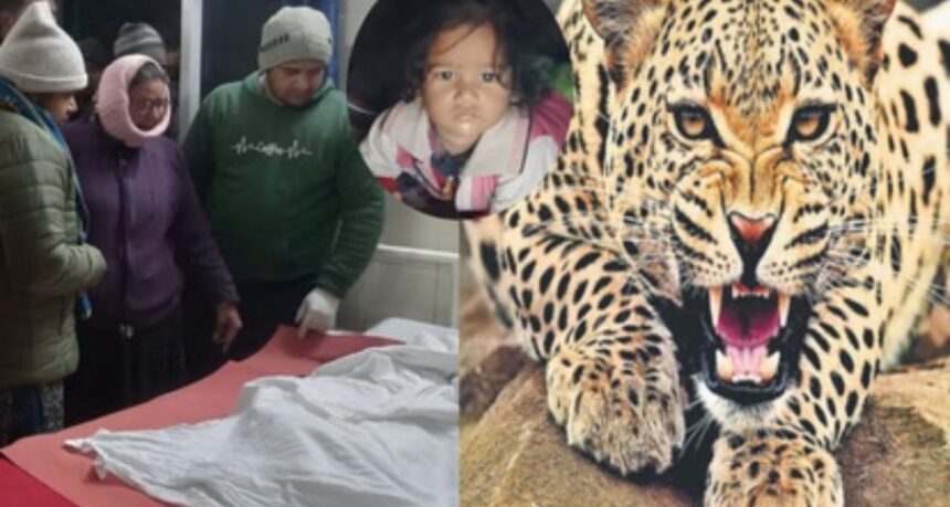 Screenshot 20260125 020504 Chrome