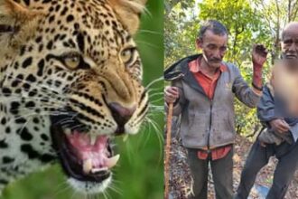 galthara ka garamanae para hamal 59bd6592ab6d420f72726ac29241e0c9