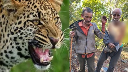 galthara ka garamanae para hamal 59bd6592ab6d420f72726ac29241e0c9