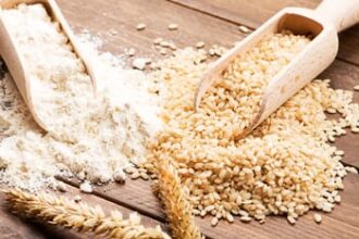 gehun chawal 517c9973b4e0973d3b44129d5c40e6ee