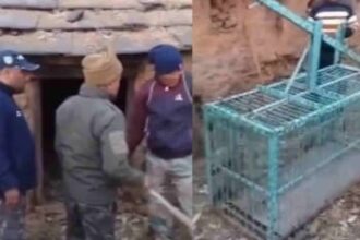 guldar c4d66766121837123b0c6942679e4fa2