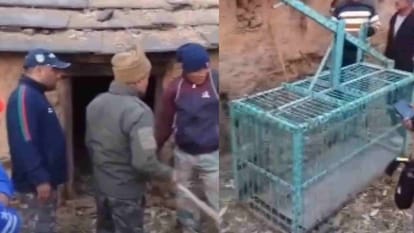 गैरसैंण सीमा क्षेत्र में गुलदार का आतंक, ग्रामीणों ने वनकर्मियों को बंधक बनाकर जताया विरोध-Newsnetra 3 guldar c4d66766121837123b0c6942679e4fa2