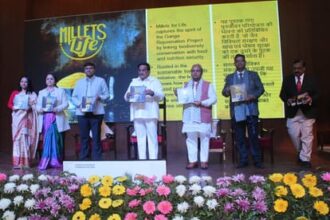 katharaya matara 83cf846601005aae0bb47be3254863e8