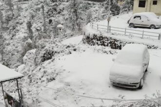 masara ma brafabra eabfc9bf7ccd2aa604abc750e7853868