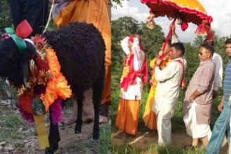 nanda rajjat 7488ec068f9436c374181893776902d9