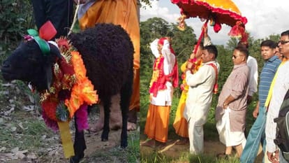 मां नंदा की राजजात बनी ‘बड़ी जात’, 2026 में आयोजन के फैसले से गरमाई धार्मिक बहस-Newsnetra 3 nanda rajjat 7488ec068f9436c374181893776902d9