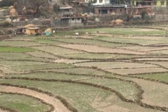 uttarakhand crops affected 26baae80fcc98a0f7856cb0f3be9daa6