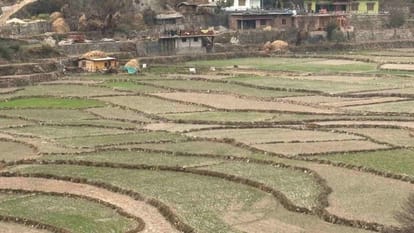 बारिश-बर्फबारी की बेरुखी से पर्यटन बेहाल, जिन स्थलों पर रहती थी भीड़ वहां पसरा सन्नाटा-Newsnetra 3 uttarakhand crops affected 26baae80fcc98a0f7856cb0f3be9daa6