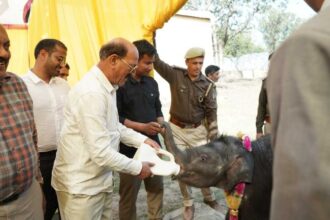 IMG 20260219 WA00991