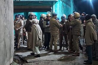 fayaraga ka btha palsa tanata 30d940aa2f836e2ba6be3035111a6fc0