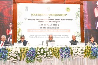 655255204 1241753604794335 5711742505031482552 n