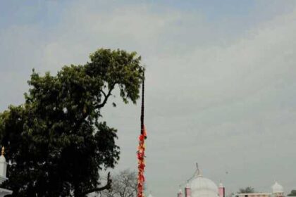 FB IMG 1773001226251