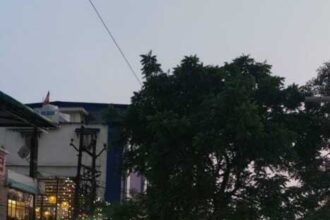 IMG 20260312 WA0122 1