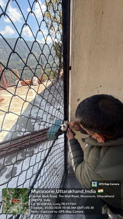 मसूरी में अवैध निर्माण पर एमडीडीए का एक्शन: कैमल बैंक रोड पर भवन सील, मचा हड़कंप-Newsnetra 9 IMG 20260331 WA0188