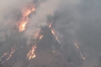 chamoli fire a0b9033786df174edc15139c49c28602