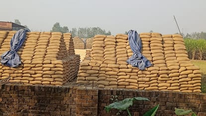 किसानों और कारोबारियों को राहत: अब MSP खरीद पर सिर्फ 2% मंडी शुल्क, कैबिनेट का बड़ा फैसला-Newsnetra 3 raisa mal ma paugdha thhana ka braya aarakaiva 0c25c92e36e67bb7c95cc67695dbd6be