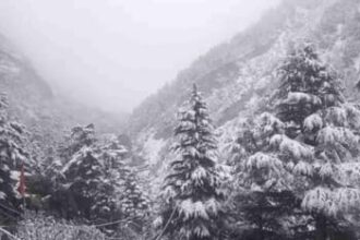 snowfall in uttarakhand 24bc44007fe864b0753d408314434584