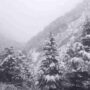 snowfall in uttarakhand 24bc44007fe864b0753d408314434584