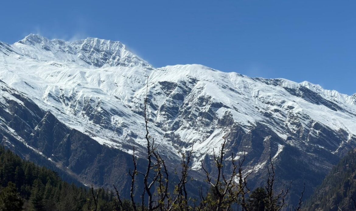 70ab42a0 1390 4b9c b49d 15b6a43728f5