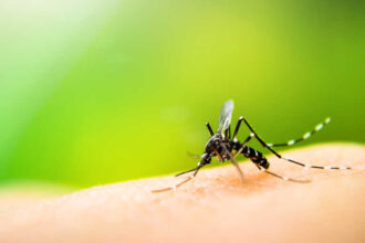 Symptoms of Malaria