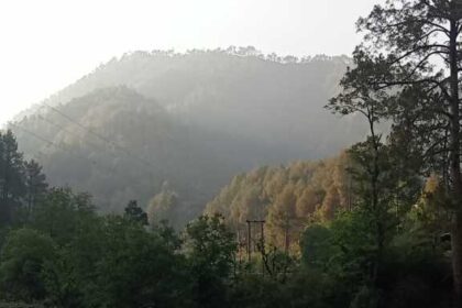 IMG 20260513 WA0015