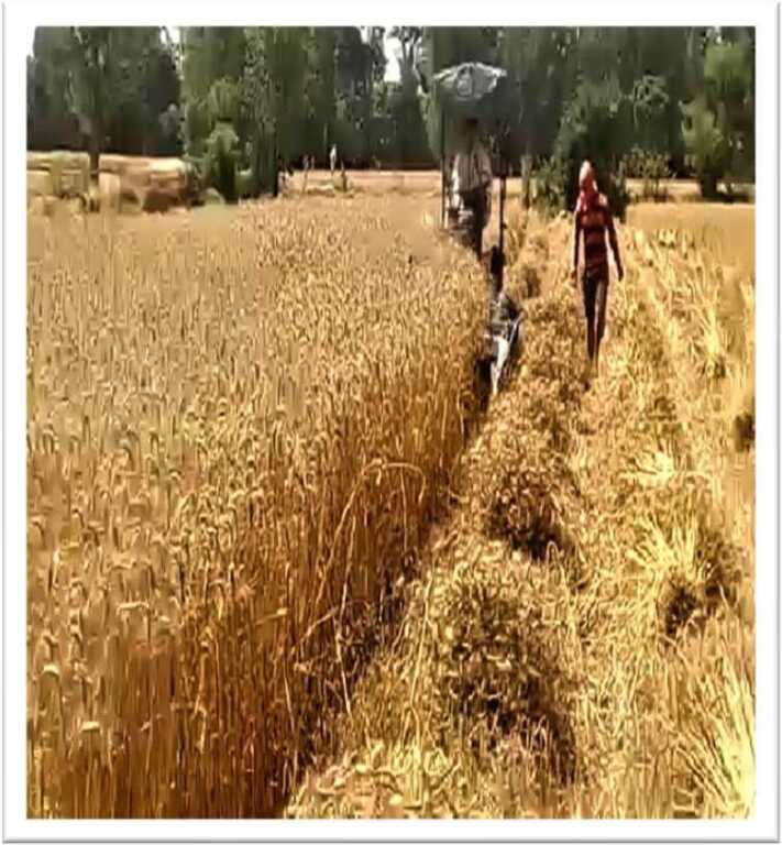 कृषि विभाग की योजनाओं ने बदली किसान बेनी सिंह की तस्वीर, मशीन से खेती हुई आसान-Newsnetra 6 IMG 20260527 WA0083