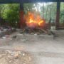 IMG 20260629 WA0001