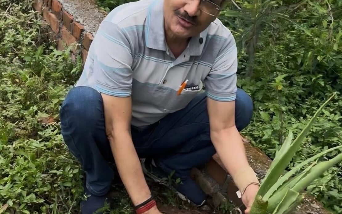 हरेला पर्व पर लगाएँ औषधीय पौधे, पर्यावरण संरक्षण के साथ स्वस्थ उत्तराखंड का भी लें संकल्प : डॉ. जे. एन. नौटियाल-Newsnetra 6 20418abb c5f8 4e83 97a8 80a399c934d4
