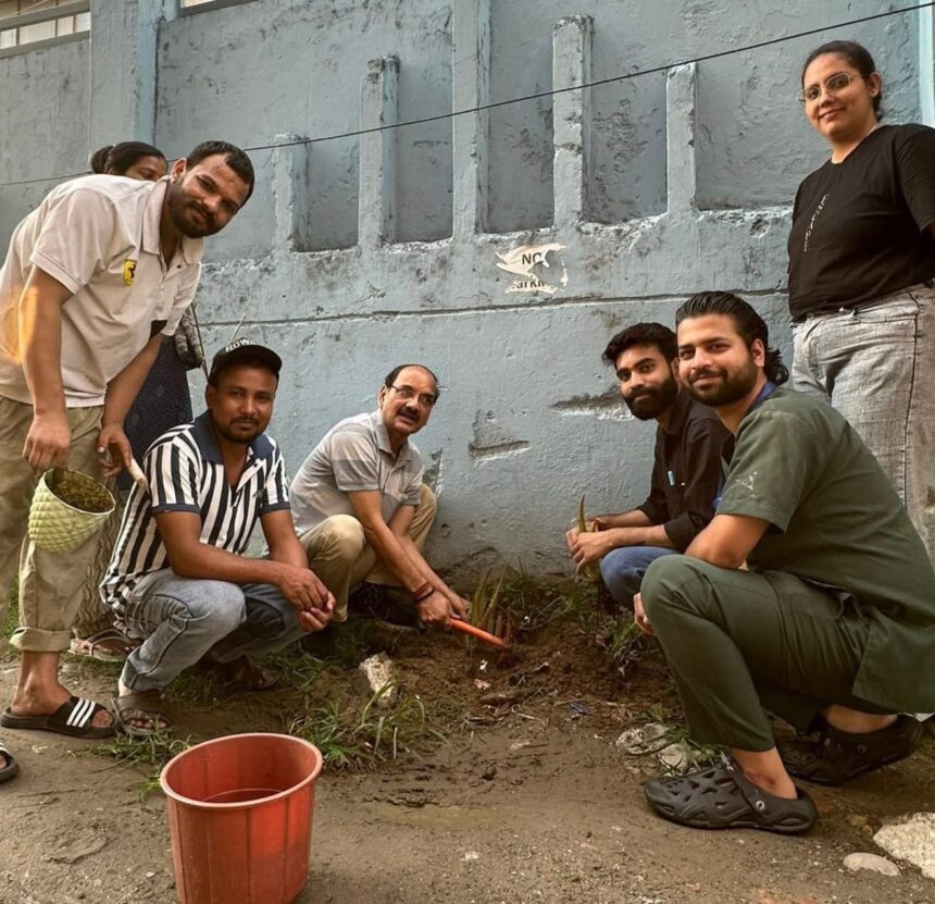 हरेला पर्व पर लगाएँ औषधीय पौधे, पर्यावरण संरक्षण के साथ स्वस्थ उत्तराखंड का भी लें संकल्प : डॉ. जे. एन. नौटियाल-Newsnetra 3 343f396a 81c4 43f5 840b 14cf273f2c2d