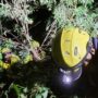 IMG 20260712 WA0038