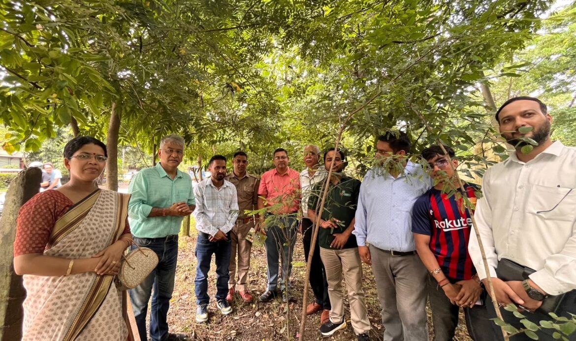 देहरादून में मियावाकी अर्बन फॉरेस्ट्री के तीनवर्ष: 90% से अधिक सर्वाइवल रेट-Newsnetra 5 5b88e1e4 d156 4a94 bb99 034c6663400f 1